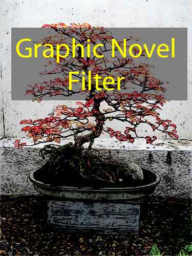 graphic novel